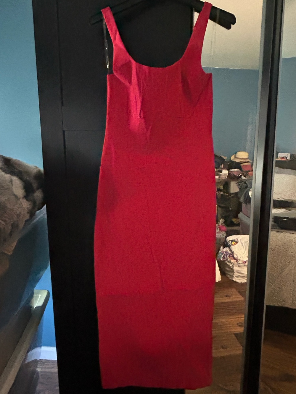 NWT Francesca’s Trixxie Dress